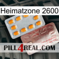 Home Zone 2600 new13